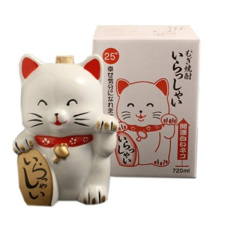 大分縣藤居酒造招財貓麥燒酎720ml