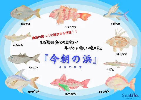 「今朝之浜」Omakase 罐頭