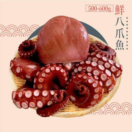 日本頂級新鮮八爪魚