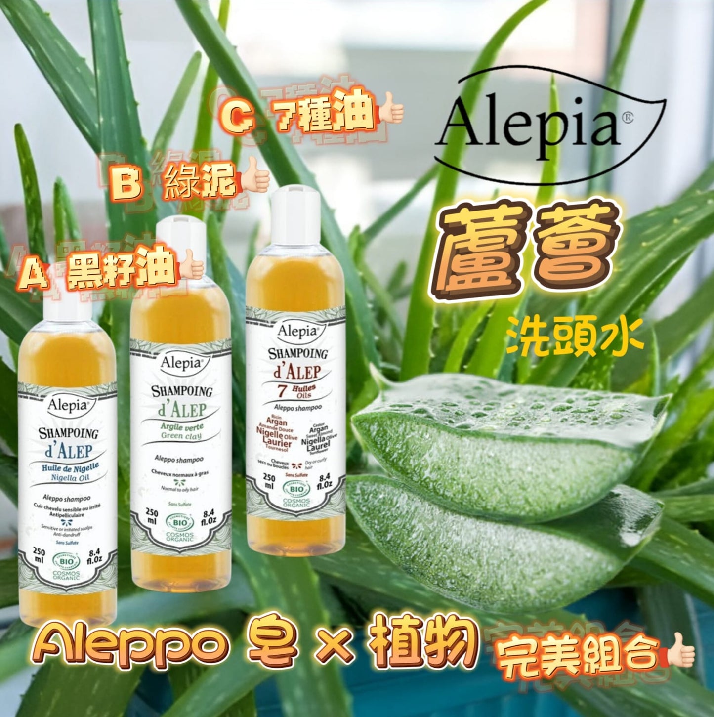 ALEPIA 黑籽油有機洗髮露(含蘆薈清潔基底) 250ml